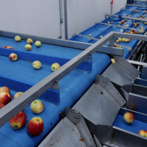 Appelverwerkingslijn-MCR Machinery - VS Apple Industries B.V.