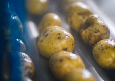 Potato Washing, Cutting & Sorting Machines | MCR Machinery