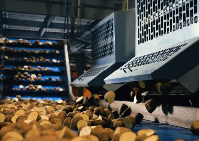 Potato Washing, Cutting & Sorting Machines | MCR Machinery