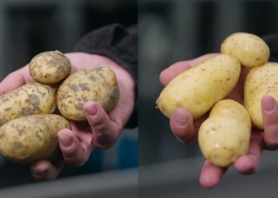 Potato brush washer / polisher