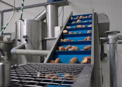 Potato Washing, Cutting & Sorting Machines | MCR Machinery