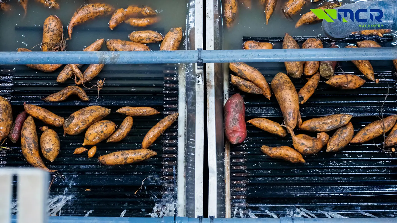 waslijnen zoete aardappelen zzADMDRnkwoy