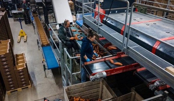 Batati GmbH